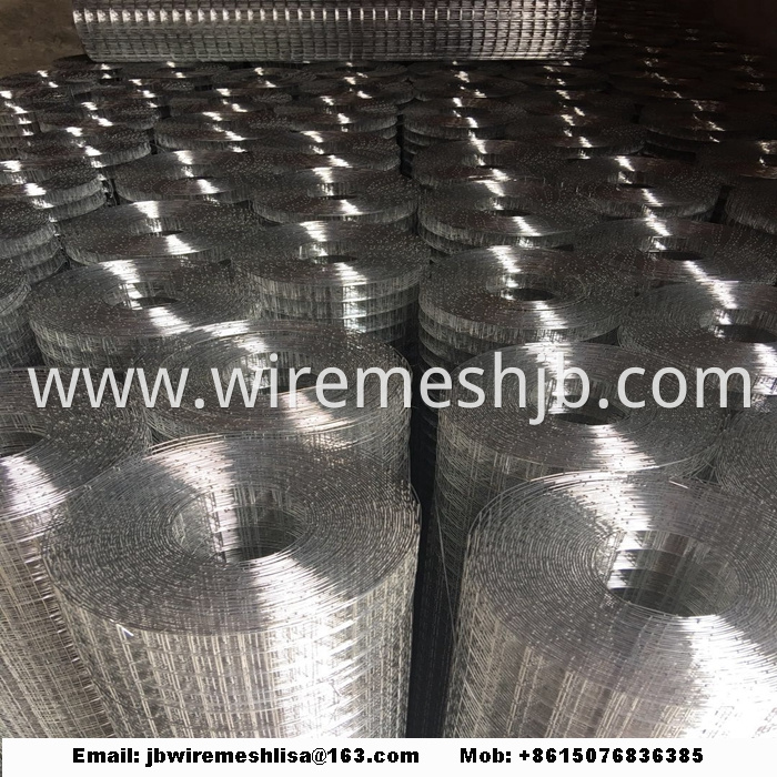 Welded Wire Mesh Galvanized Welded Wire Mesh Roll